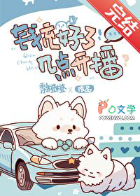 钱充号了，几点凯播